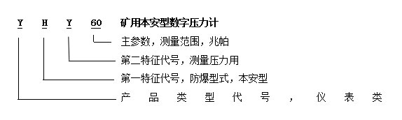 YHY60(A)礦用本安型數(shù)字壓力計